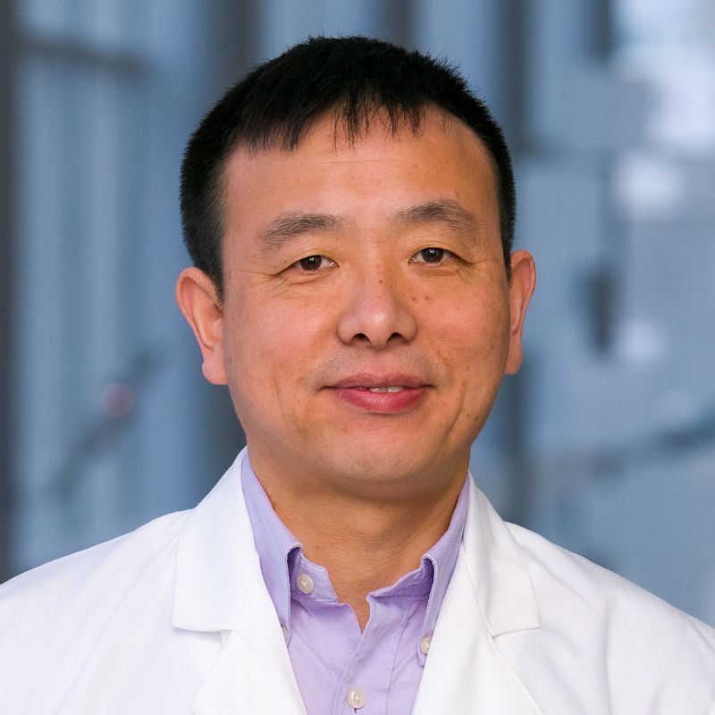 Weiguo Lu, Ph.D.
